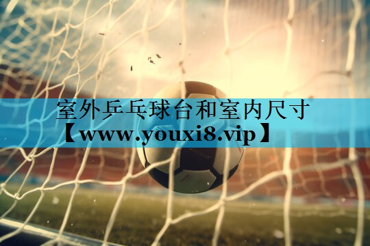 室外乒乓球台和室内尺寸 室外乒乓球台和室内尺寸