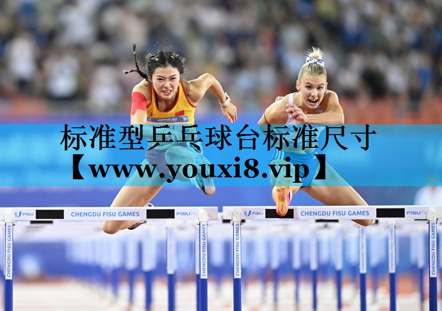 标准型乒乓球台标准尺寸 标准型乒乓球台标准尺寸