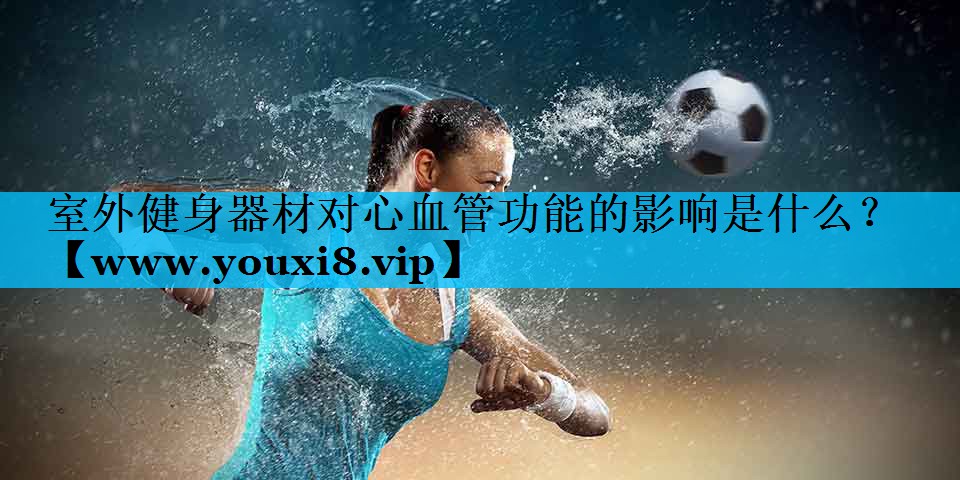 室外健身器材对心血管功能的影响是什么? 室外健身器材对心血管功能的影响是什么?